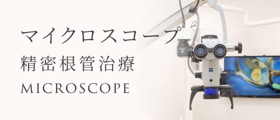 マイクロスコープ