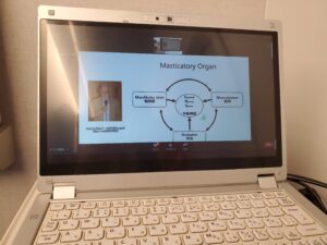 歯医者　自由が丘　矯正