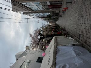 自由が丘 桜まつり