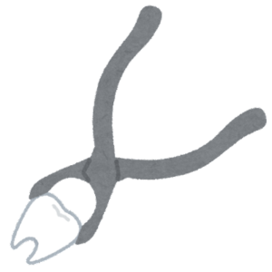 歯の構造　根管　根管治療　自由が丘　歯医者