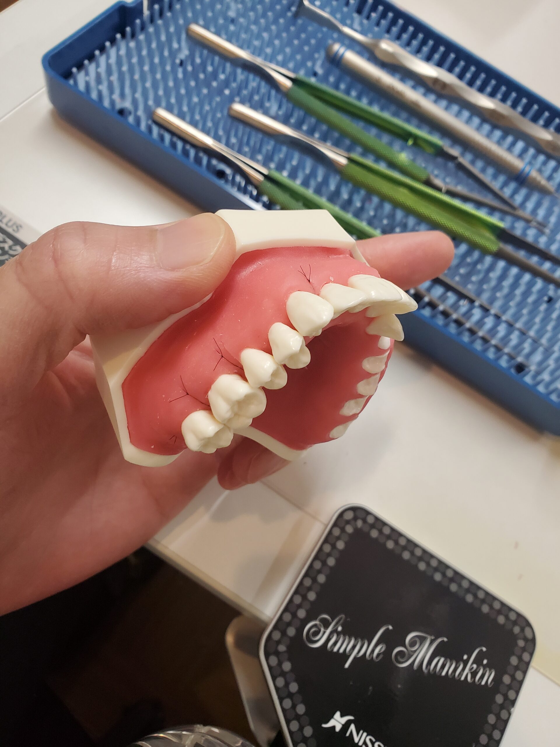 マイクロスコープ顕微鏡　歯医者　自由が丘